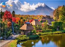 Tour Nhật Bản Hành Trình Vàng Mùa Thu 6N5Đ